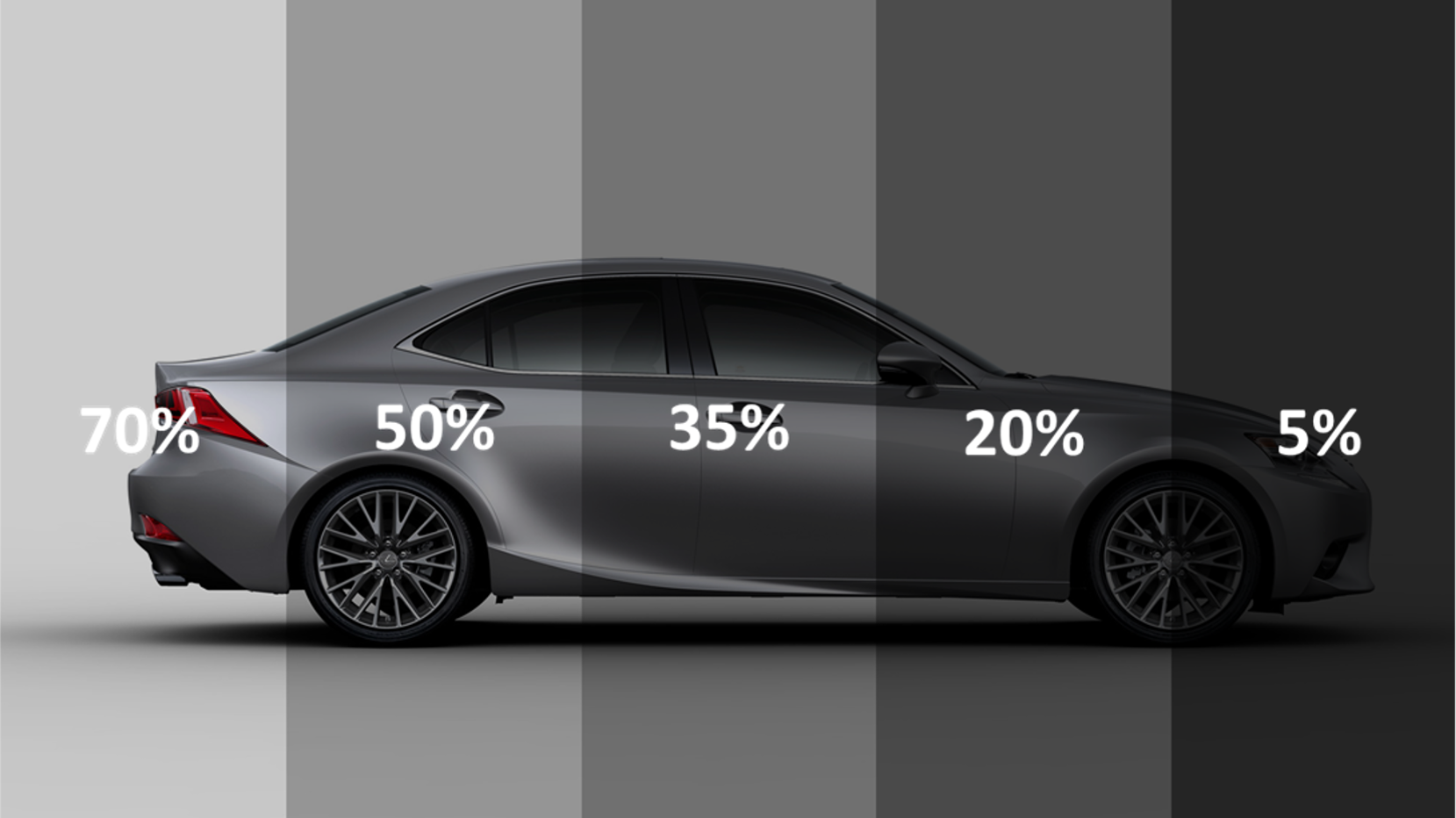 2. "Tinting Options for Senior Citizens" - wide 2